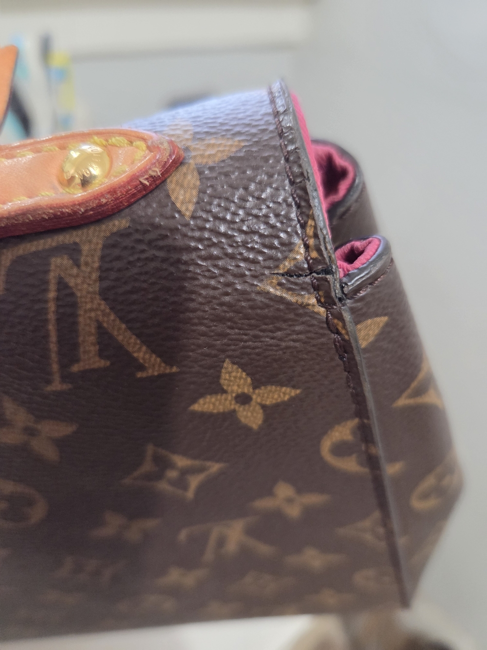Louis Vuitton Clunny BB Crossbody Bag - Picture 13 of 16